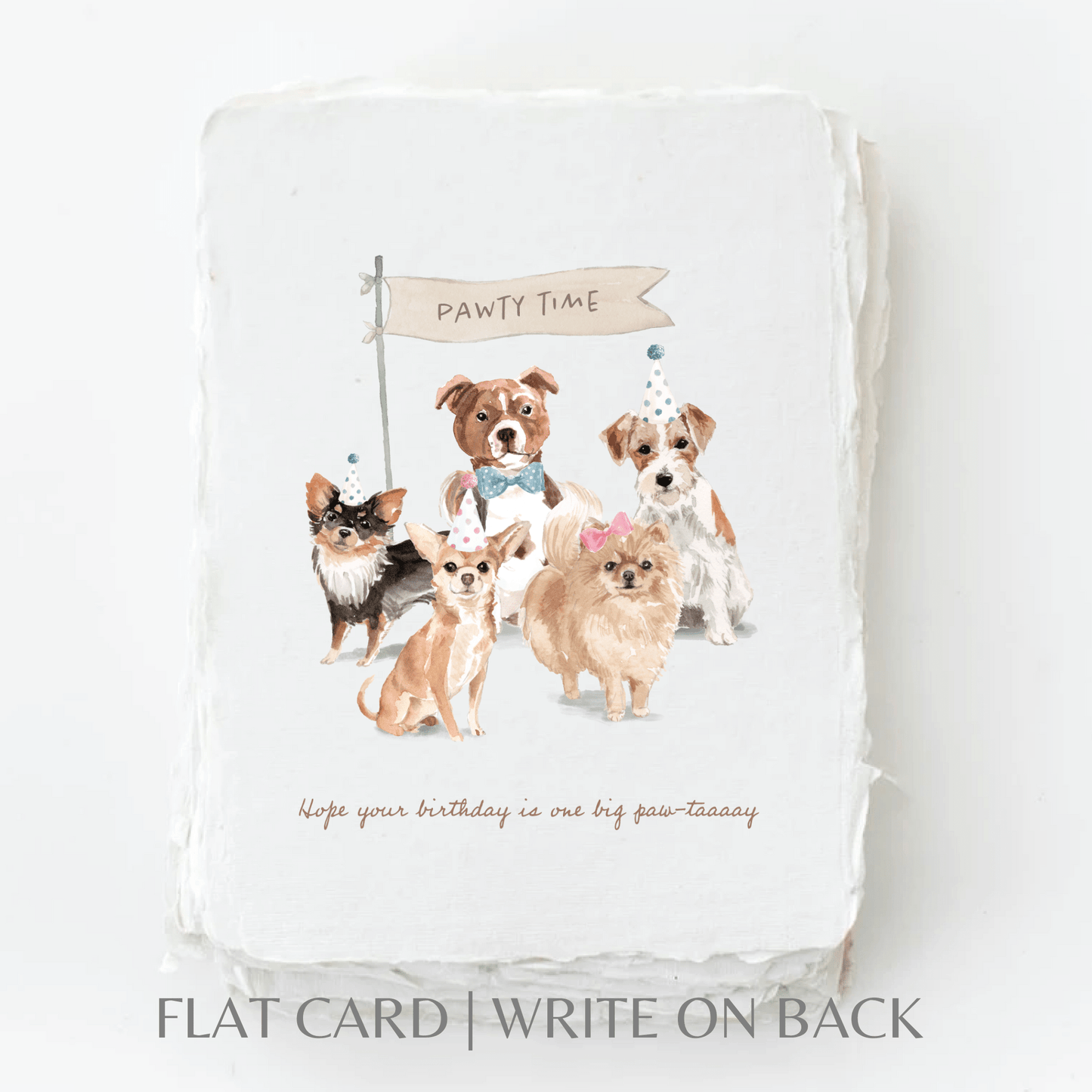 Eco-friendly birthday greeting card featuring dogs in party hats with "Hope your birthday is one big paw-taay!" text.