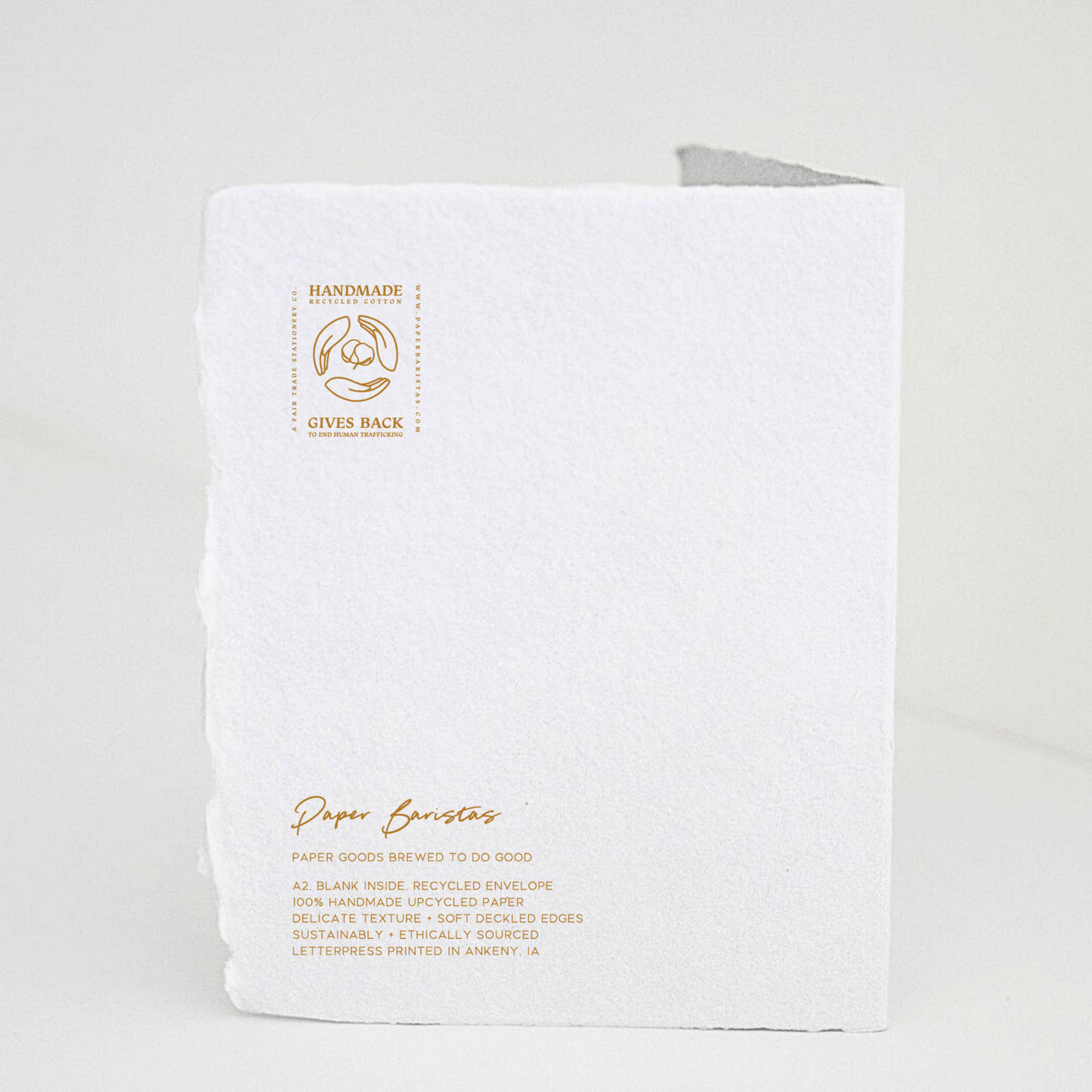 Eco-friendly "Birthday Paw-tay Dogs" card with gold ink on handmade deckled edge paper.