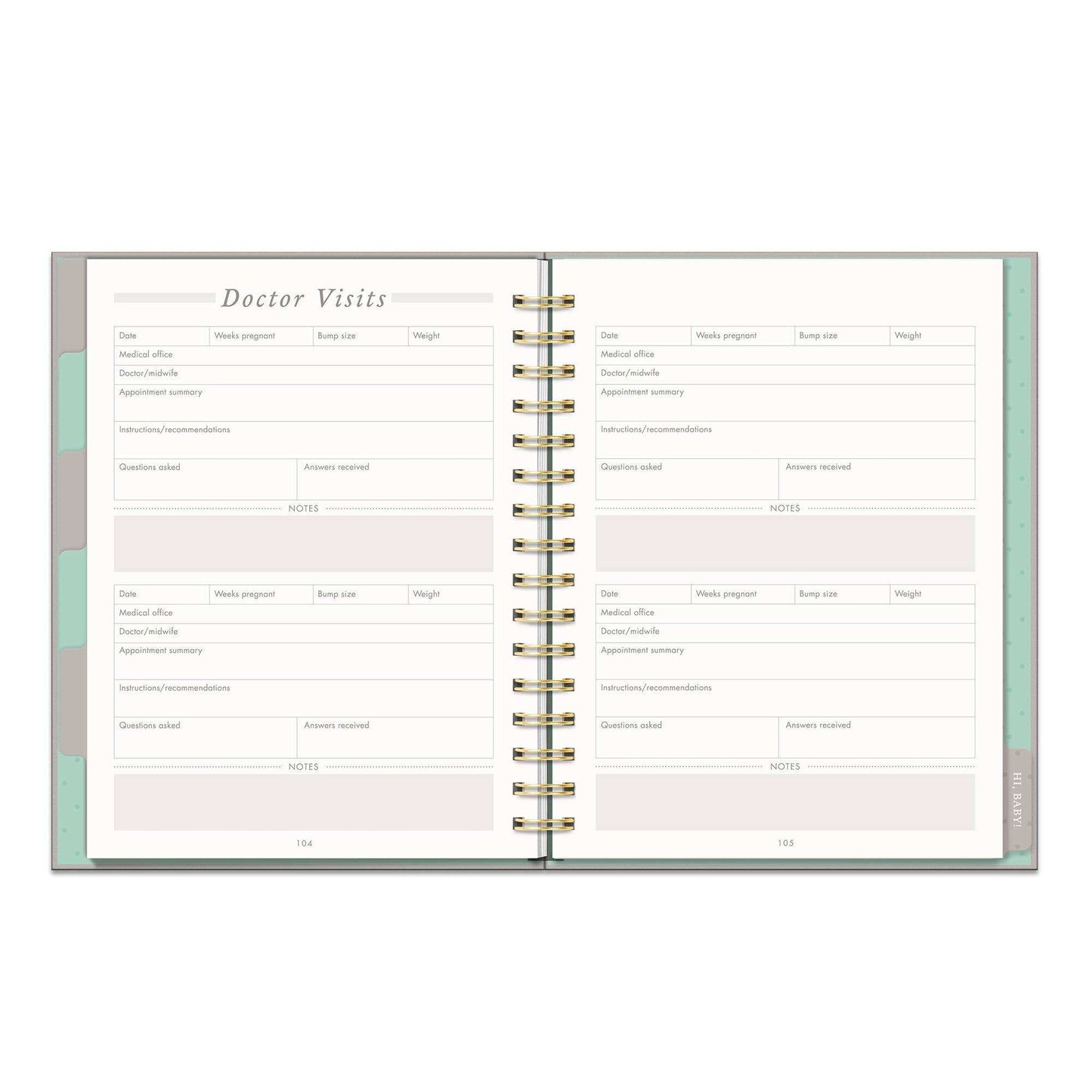 Countdown to Baby Undated Pregnancy Planner - Jennie Dots
