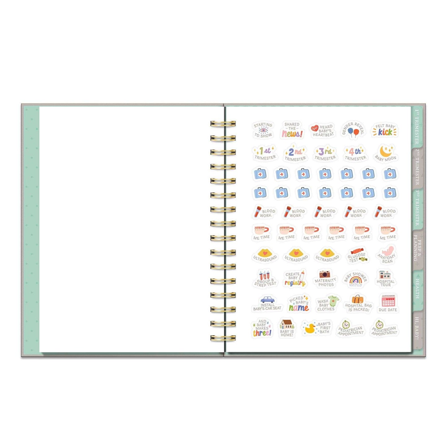 Countdown to Baby Undated Pregnancy Planner - Jennie Dots