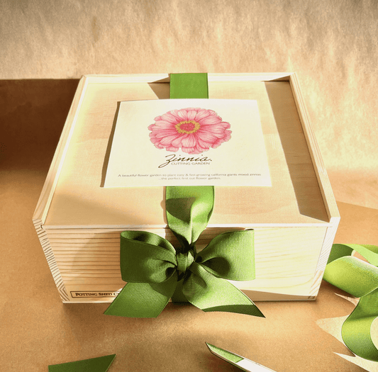 Flower Cutting Garden Box with zinnia seeds, coir pots, and accessories, wrapped in green ribbon.