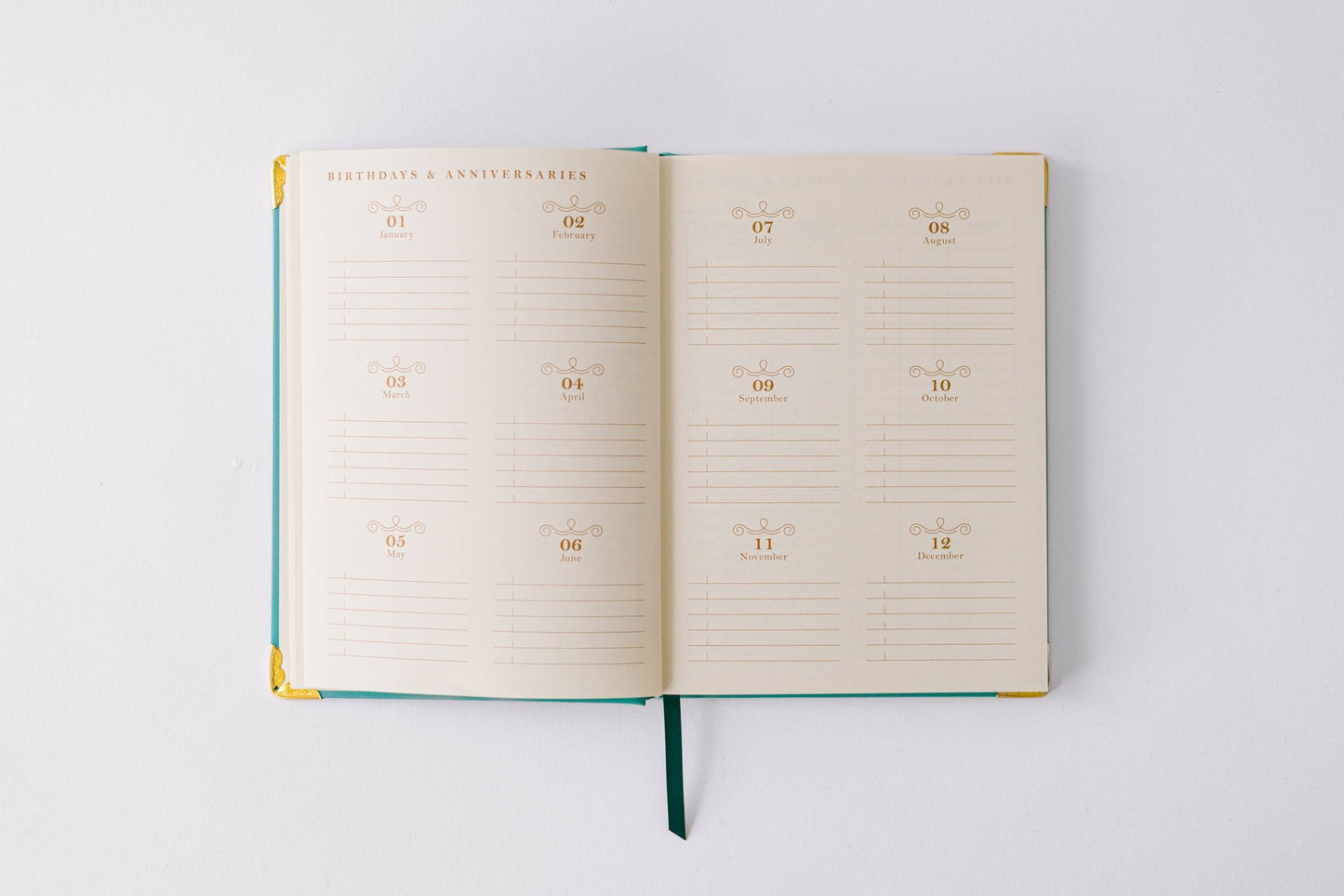 Good Juju Ink - 2026 Painted Frame 17 - Month Medium Bound Planner - Jennie Dots