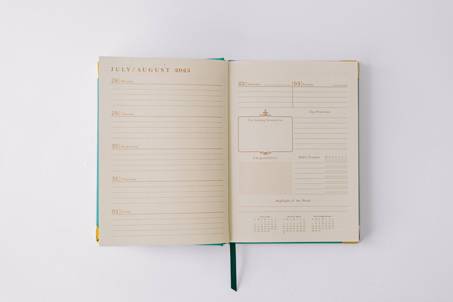 Good Juju Ink - 2026 Painted Frame 17 - Month Medium Bound Planner - Jennie Dots