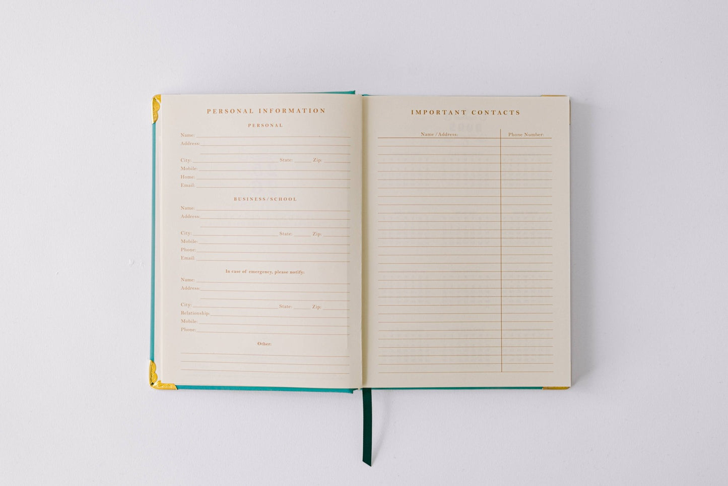 Good Juju Ink - 2026 Painted Frame 17 - Month Medium Bound Planner - Jennie Dots