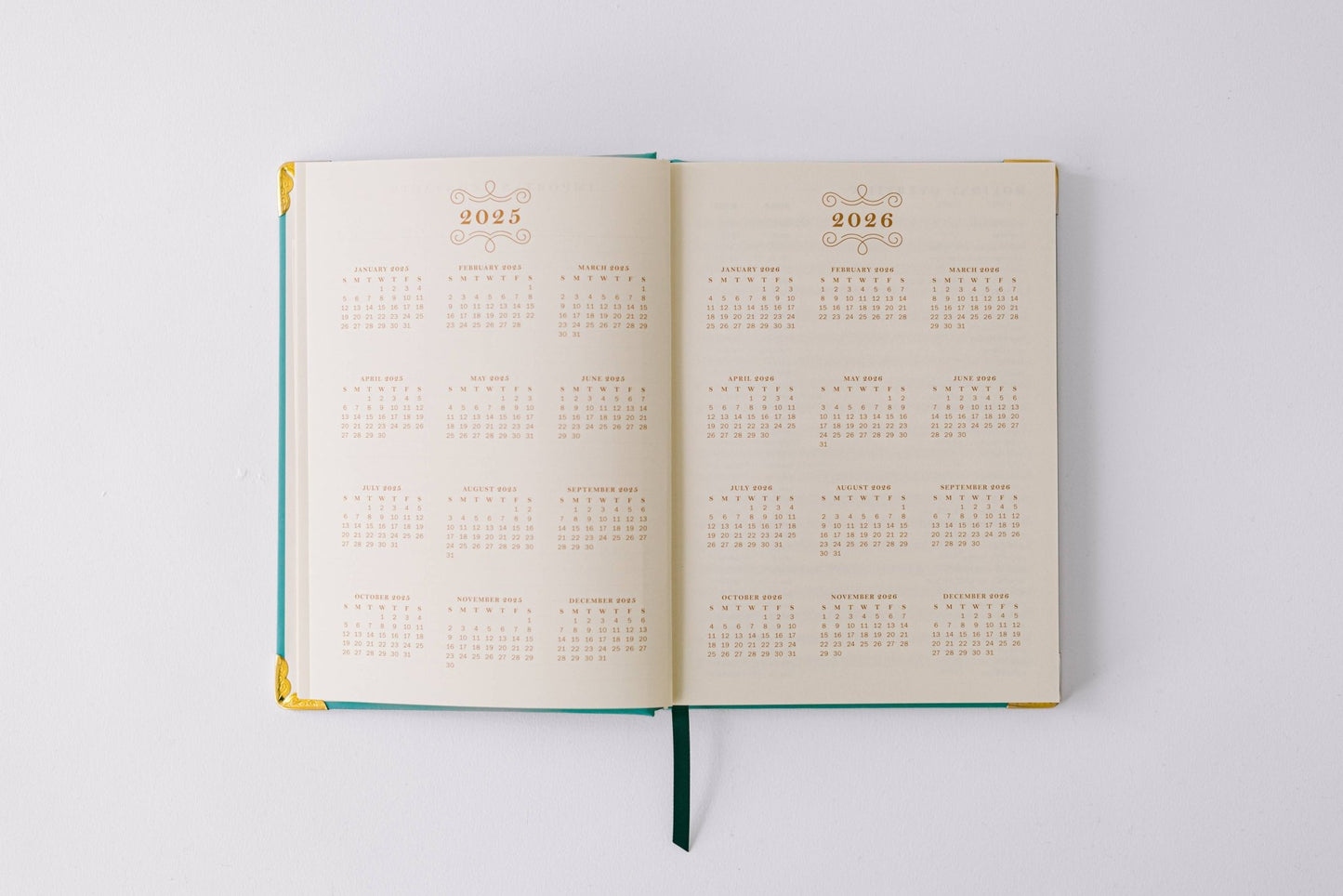 Good Juju Ink - 2026 Painted Frame 17 - Month Medium Bound Planner - Jennie Dots
