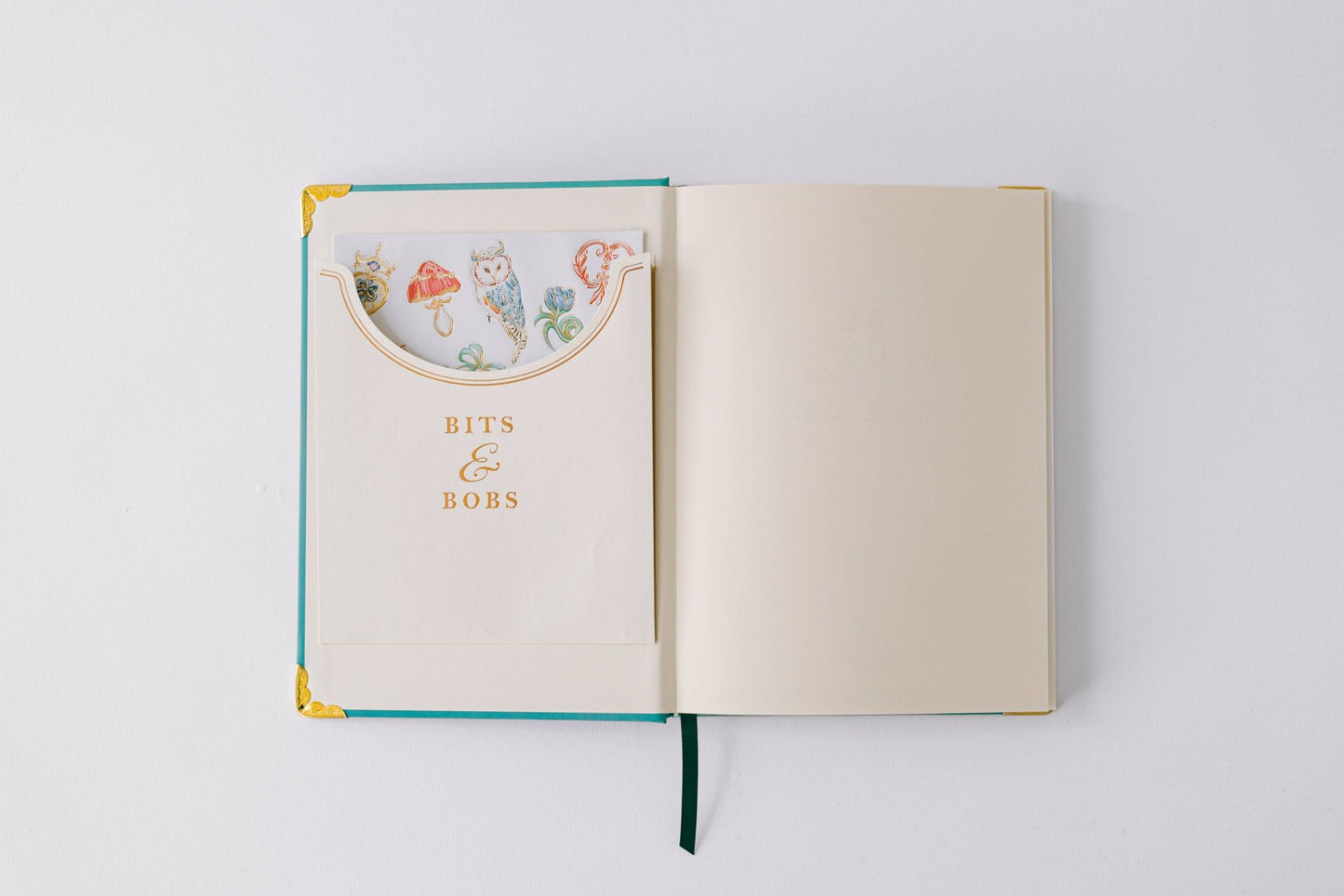 Good Juju Ink - 2026 Painted Frame 17 - Month Medium Bound Planner - Jennie Dots