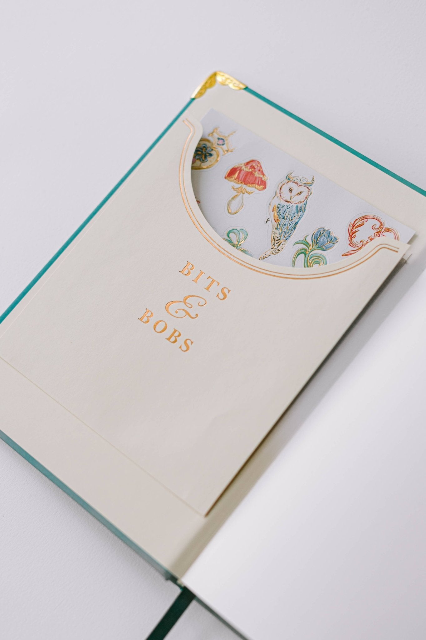 Good Juju Ink - 2026 Painted Frame 17 - Month Medium Bound Planner - Jennie Dots