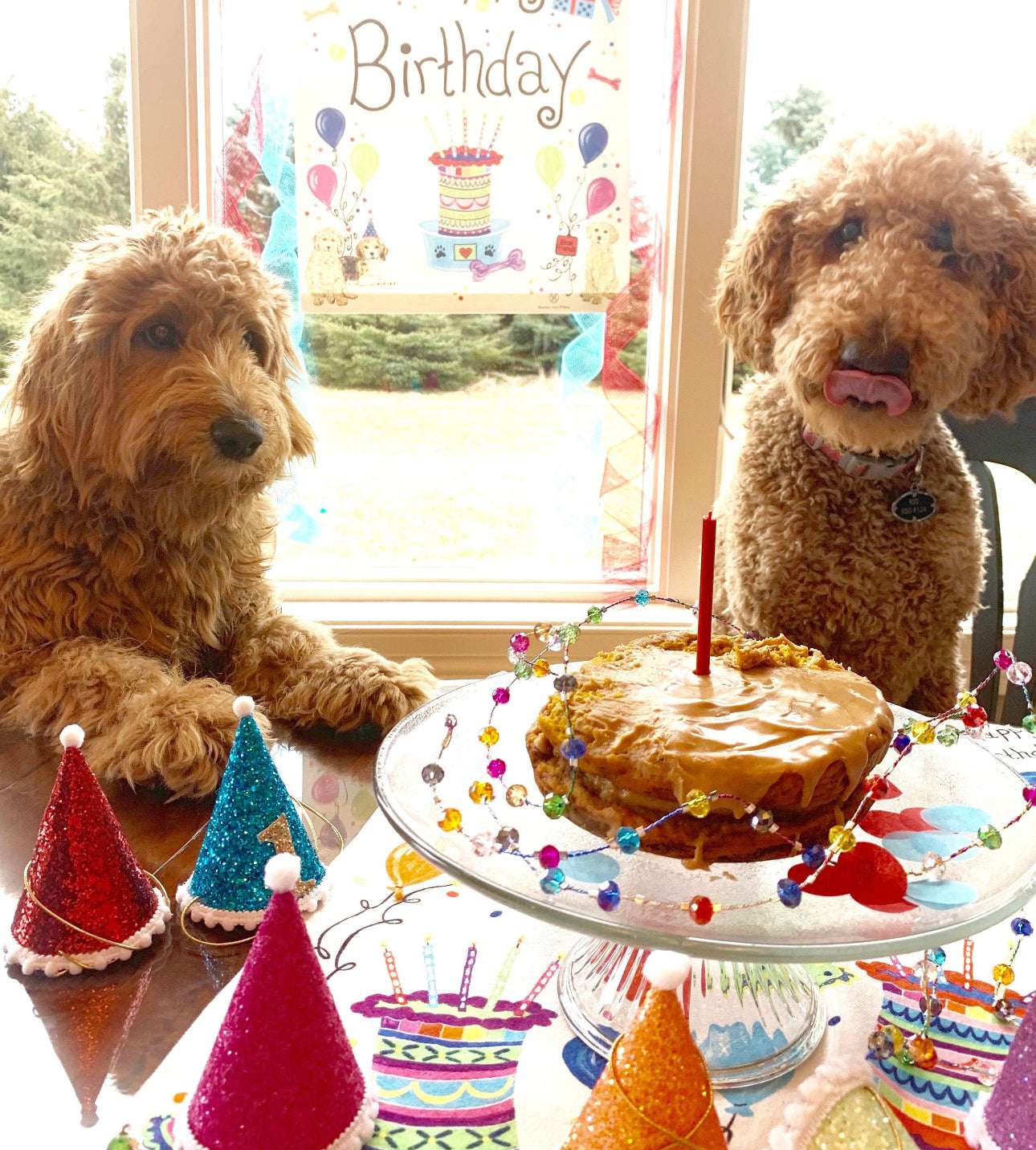 Happy Birthday Dog Banner - Jennie Dots
