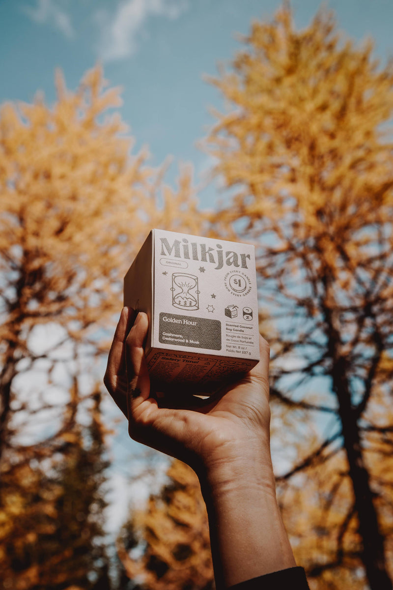 Milk Jar Candle Co. - Golden Hour - Cashmere, Cedarwood Coconut Soy 8oz Candle