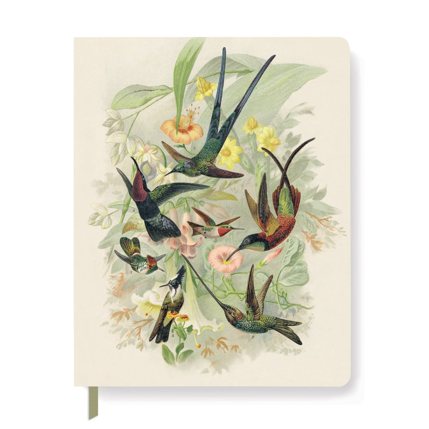 Fringe Studio - Hummingbirds Journal