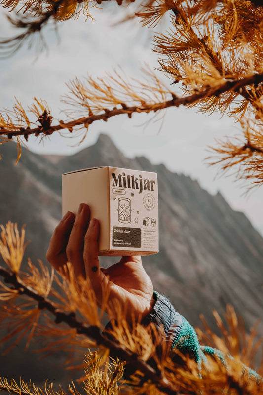 Milk Jar Candle Co. - Golden Hour - Cashmere, Cedarwood Coconut Soy 8oz Candle