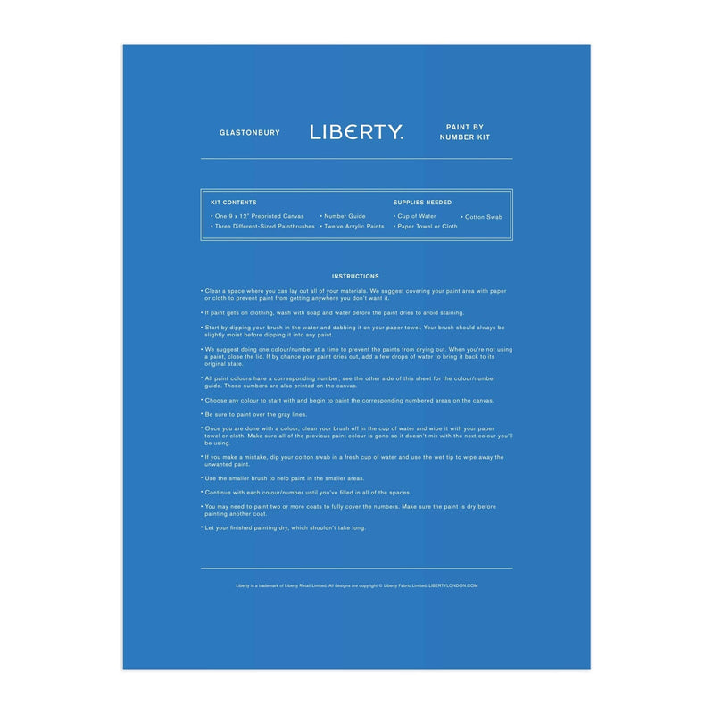 Chronicle Books - Liberty 9 x 12 Paint by Number Kit Glastonbury