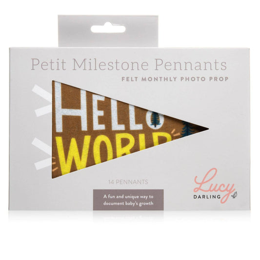 Lucy Darling - Baby Milestone Pennants - Jennie Dots
