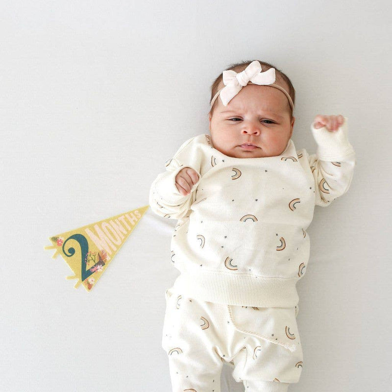 Little Artist Petit Milestone Pennant - Jennie Dots 