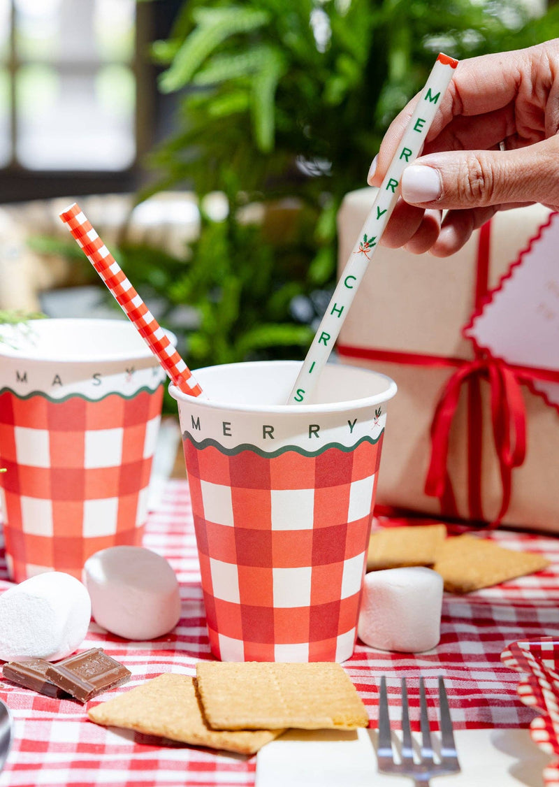 My Mind’s Eye - Gingham Merry Christmas Straws