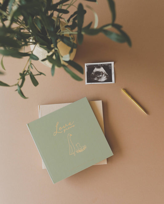 Lucy Darling Pregnancy Journal - Jennie Dots 