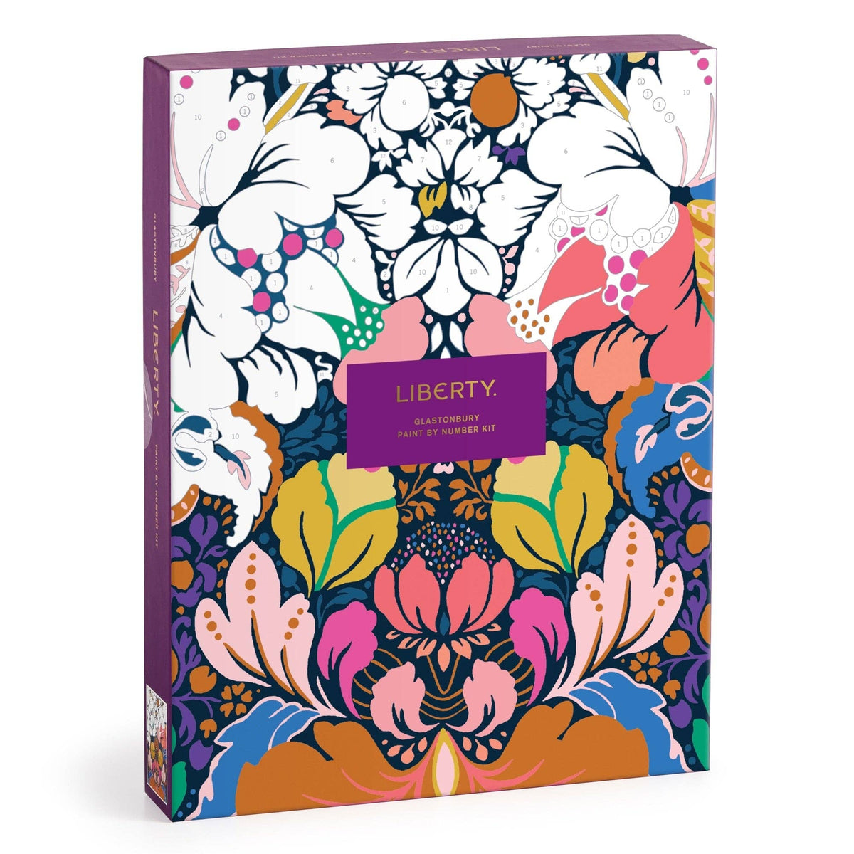 Chronicle Books - Liberty 9 x 12 Paint by Number Kit Glastonbury