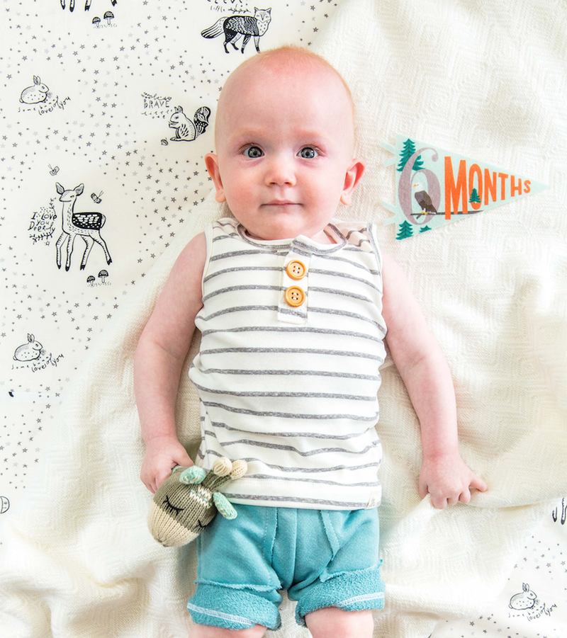 Lucy Darling - Baby Milestone Pennants - Jennie Dots