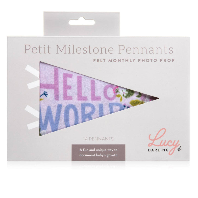 Little Artist Petit Milestone Pennant - Jennie Dots 