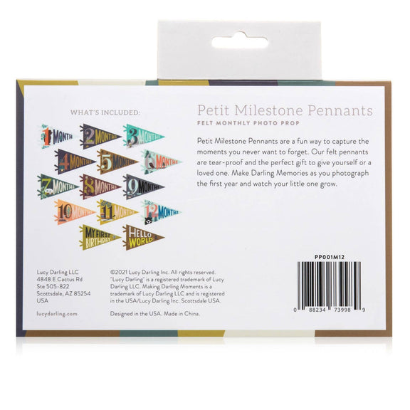 Lucy Darling - Baby Milestone Pennants - Jennie Dots