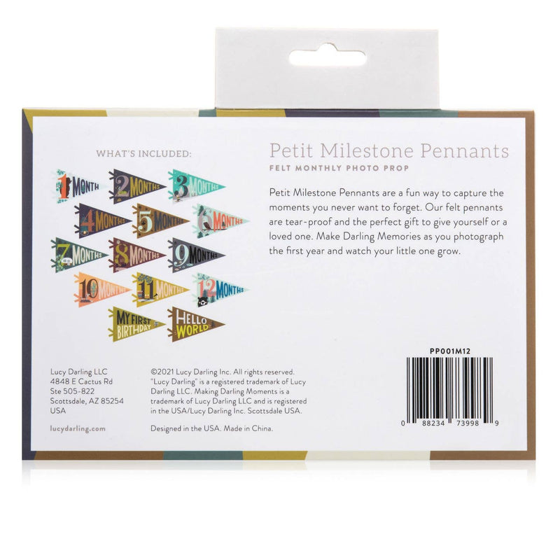 Lucy Darling - Baby Milestone Pennants - Jennie Dots