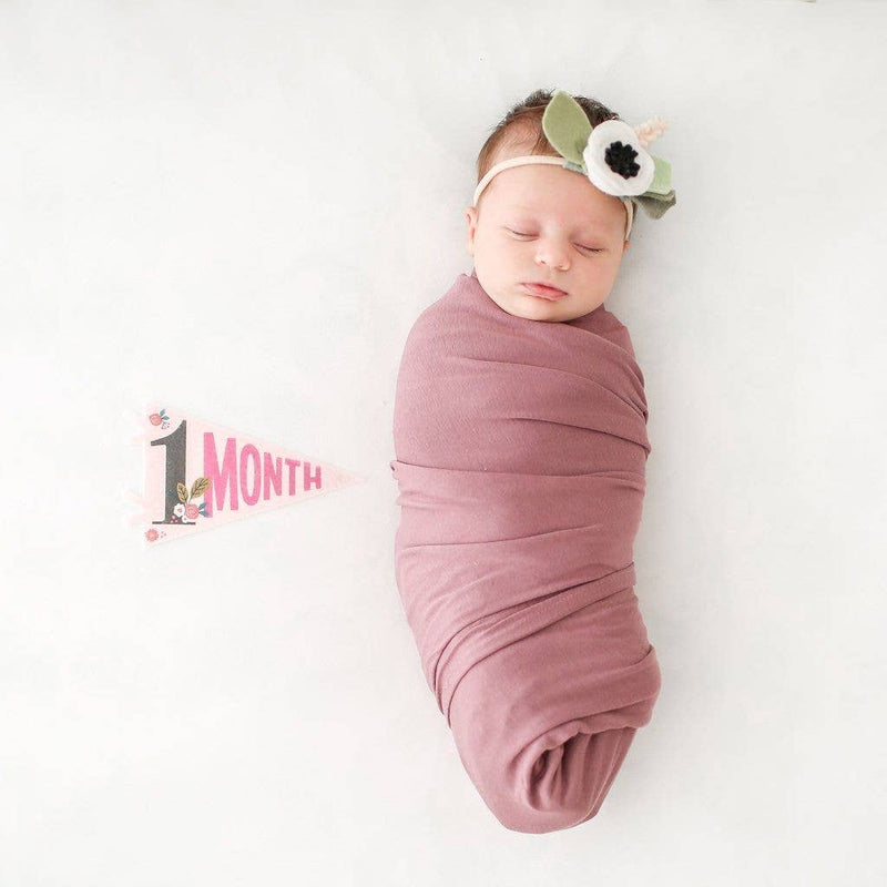 Little Artist Petit Milestone Pennant - Jennie Dots 