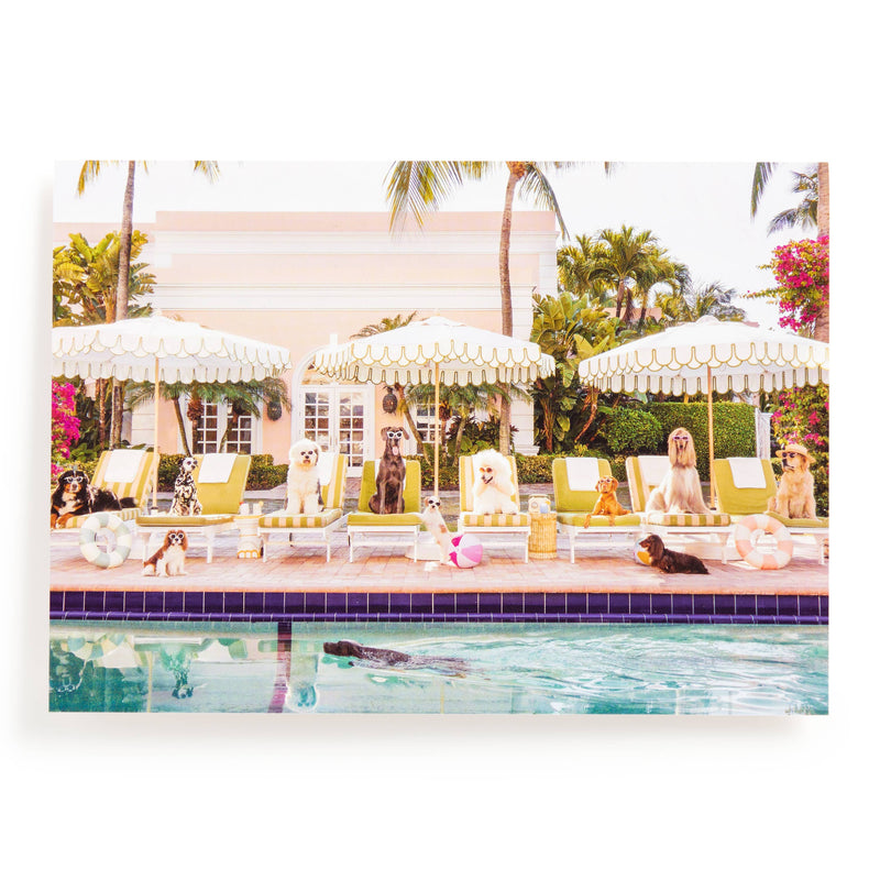 Gray Malin Palm Beach 1000 Piece Book Box Puzzle