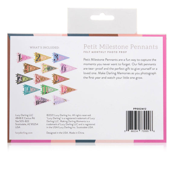 Little Artist Petit Milestone Pennant - Jennie Dots 