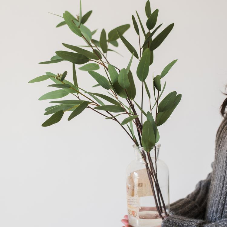 Faux Eucalyptus Leaf in Various Shapes