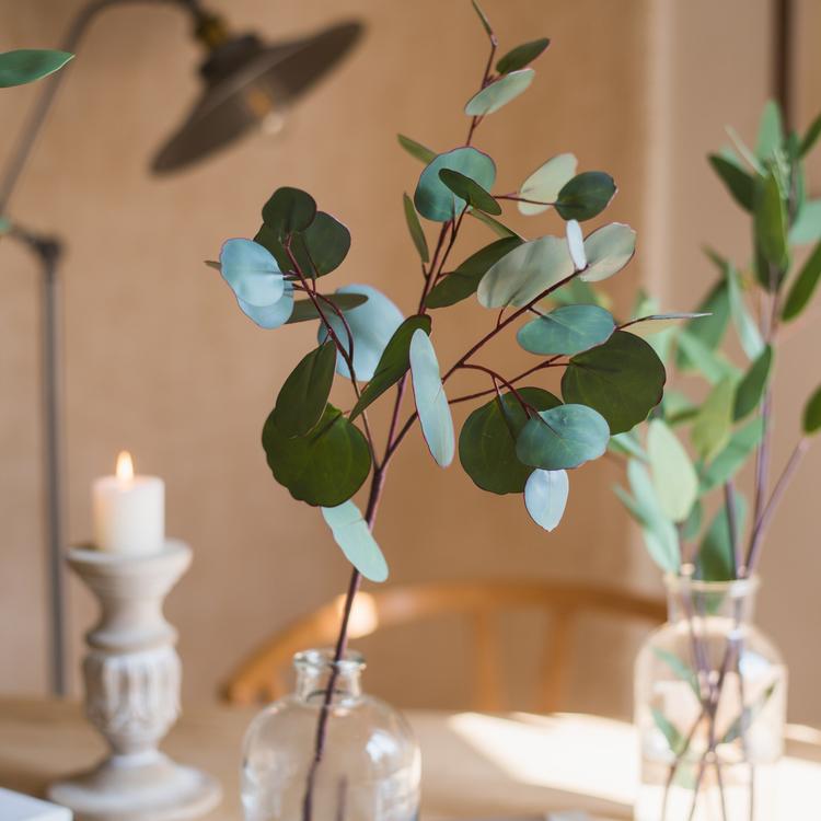 Faux Eucalyptus Leaf in Various Shapes