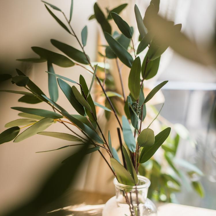 Faux Eucalyptus Leaf in Various Shapes