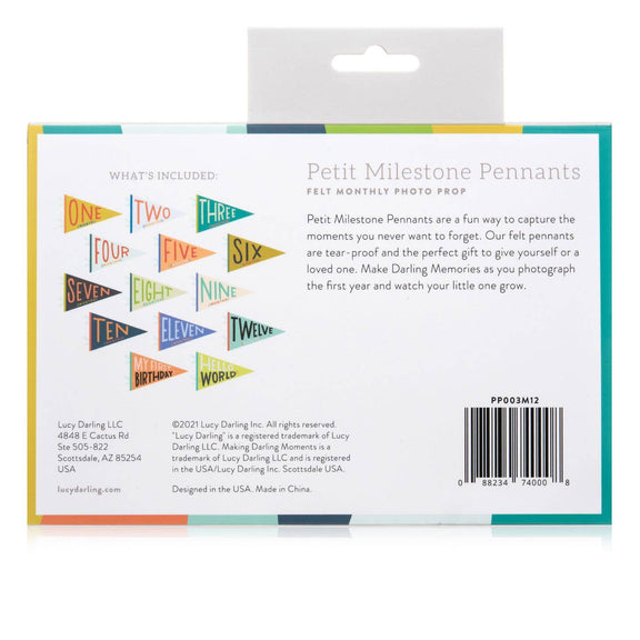 Little Kaleidoscope Petit Milestone Pennant - Jennie Dots 
