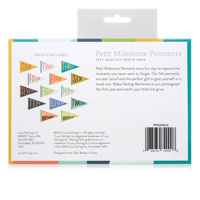 Little Kaleidoscope Petit Milestone Pennant - Jennie Dots 