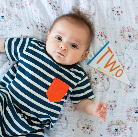 Little Kaleidoscope Petit Milestone Pennant - Jennie Dots 