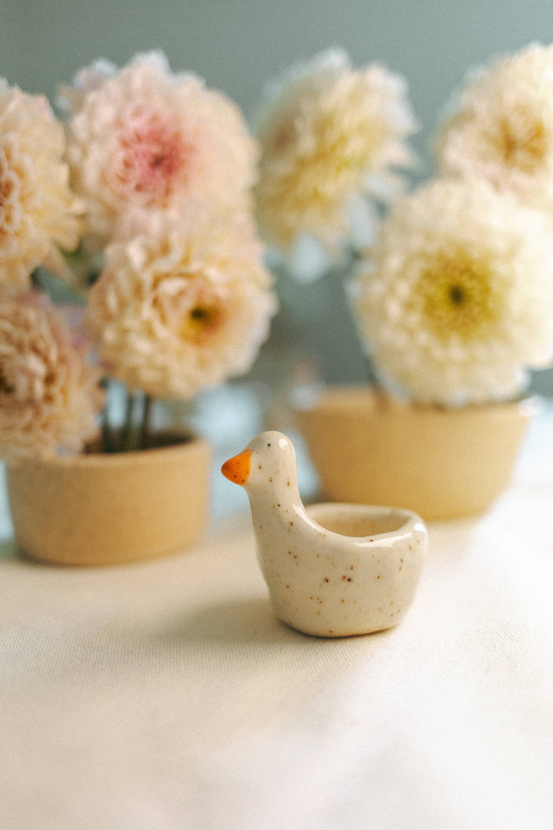 Vibrant Vessels - Silly Goose/Duck Ring, Trinket Dish