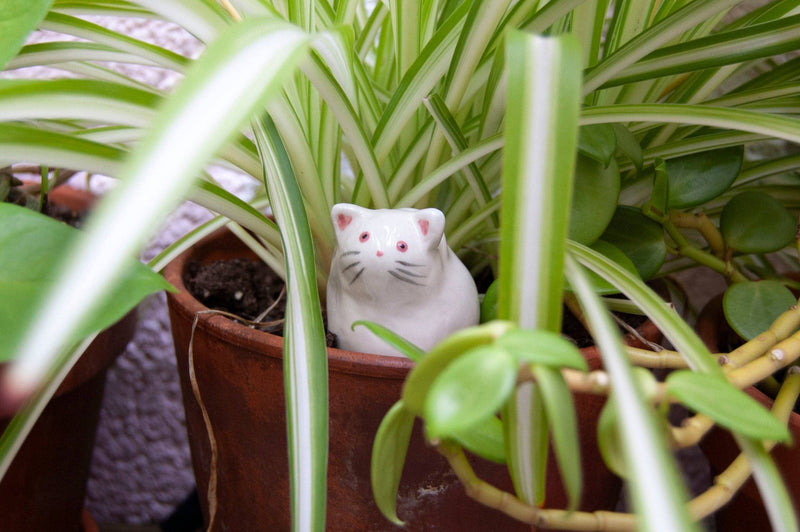 Co.House Designs - Cat Decorative Object - Set of 3 (Grey/White/Tabby)