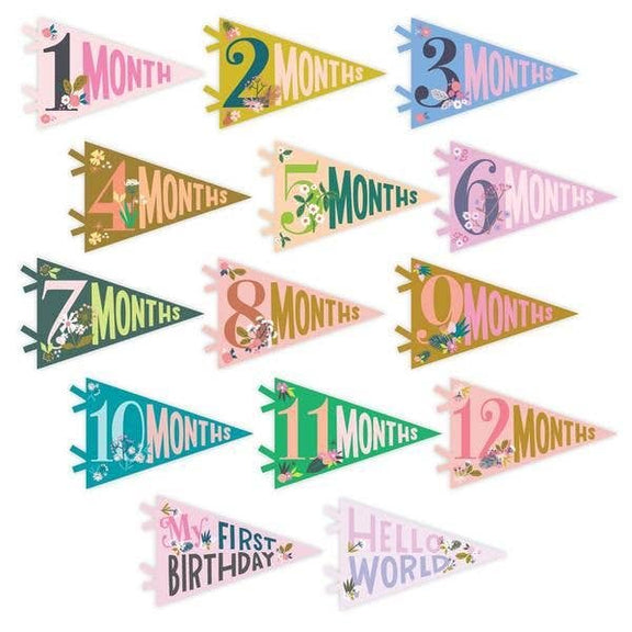 Little Artist Petit Milestone Pennant - Jennie Dots 