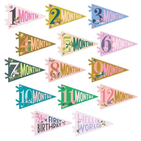 Little Artist Petit Milestone Pennant - Jennie Dots 