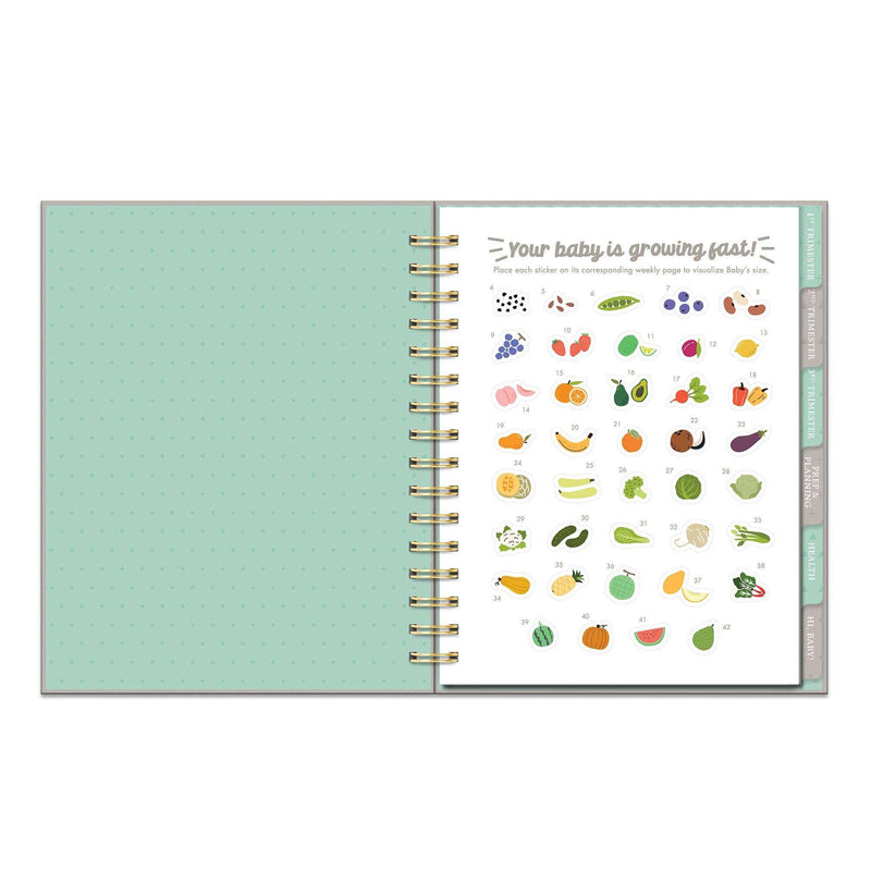 Countdown to Baby Undated Pregnancy Planner - Jennie Dots