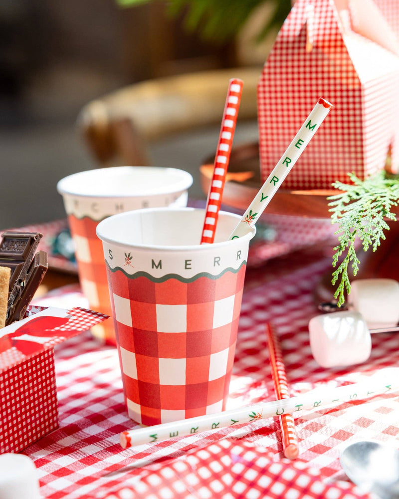 My Mind’s Eye - Merry Christmas Gingham Party Cup