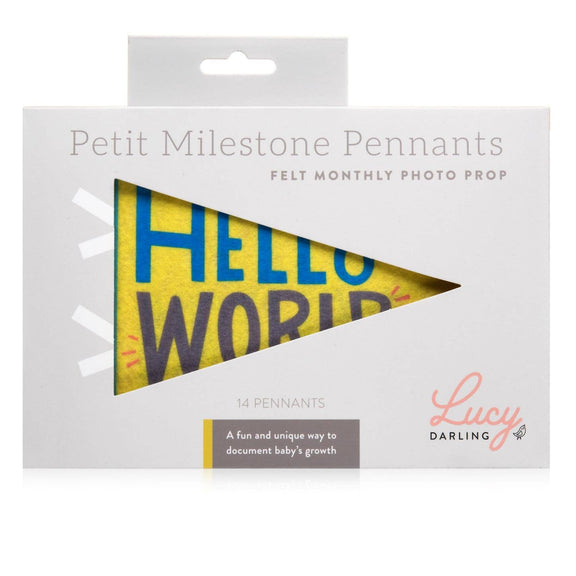 Little Kaleidoscope Petit Milestone Pennant - Jennie Dots 