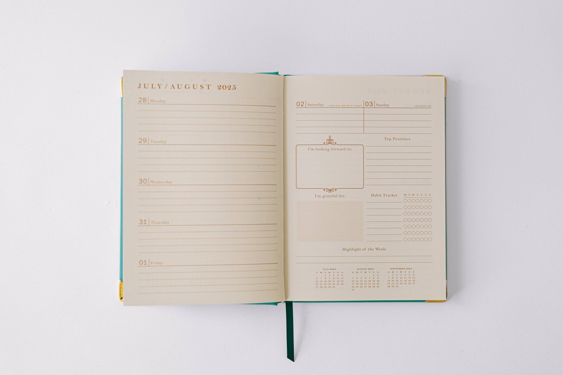 Good Juju Ink - 2026 Painted Frame 17 - Month Medium Bound Planner - Jennie Dots