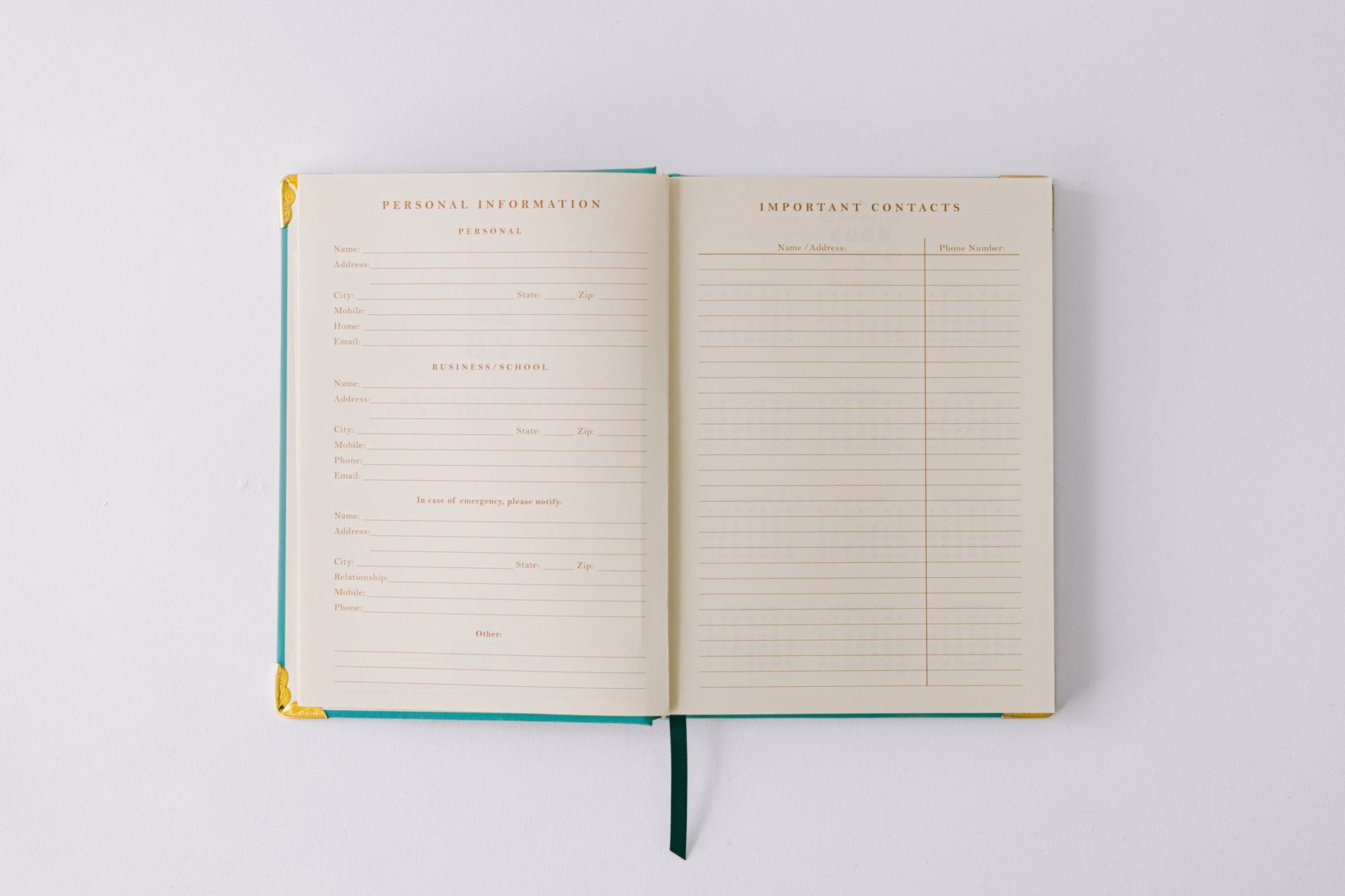 Good Juju Ink - 2026 Painted Frame 17 - Month Medium Bound Planner - Jennie Dots