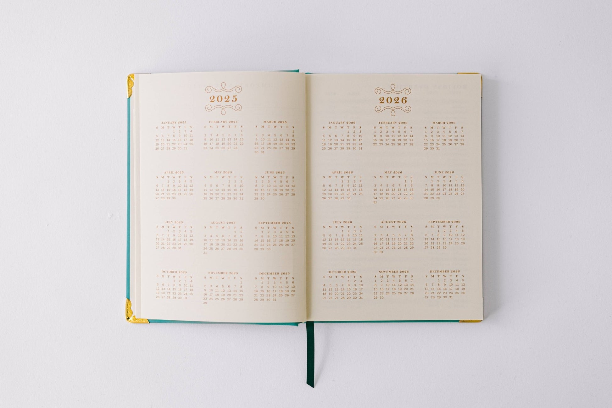 Good Juju Ink - 2026 Painted Frame 17 - Month Medium Bound Planner - Jennie Dots