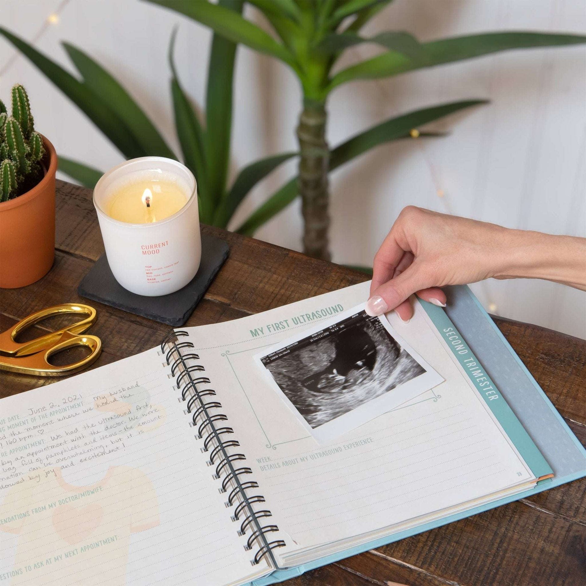 Guided Journal - Bump For Joy! - Jennie Dots