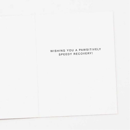 Ice Pack Dog Pawsitively Get Well Card - Jennie Dots