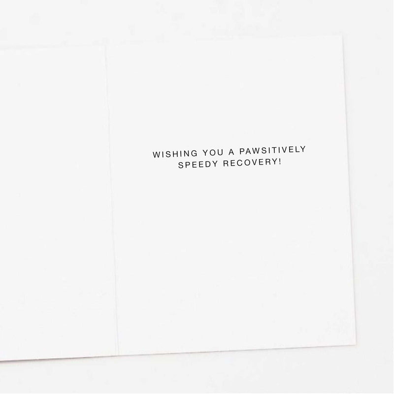 Ice Pack Dog Pawsitively Get Well Card - Jennie Dots