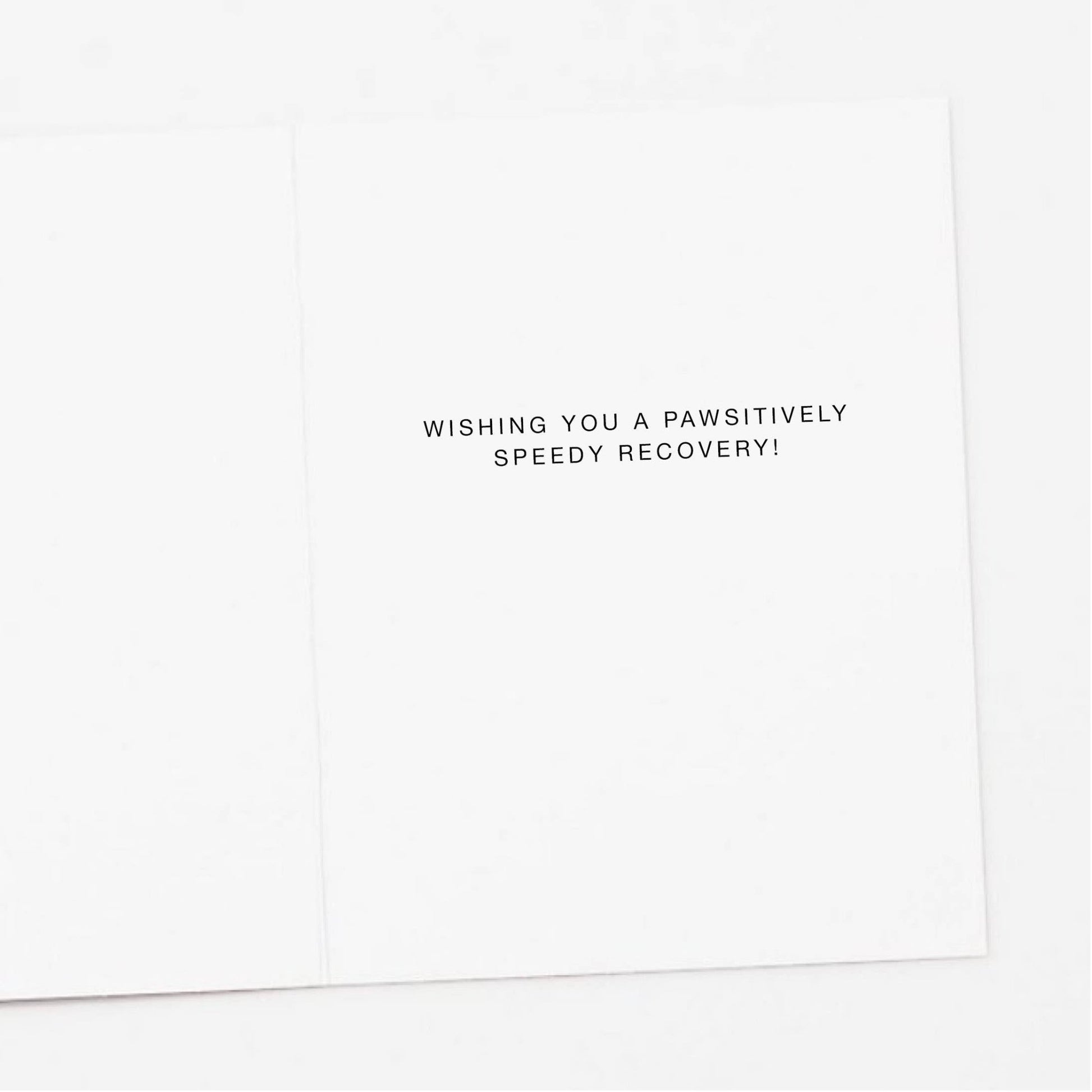 Ice Pack Dog Pawsitively Get Well Card - Jennie Dots