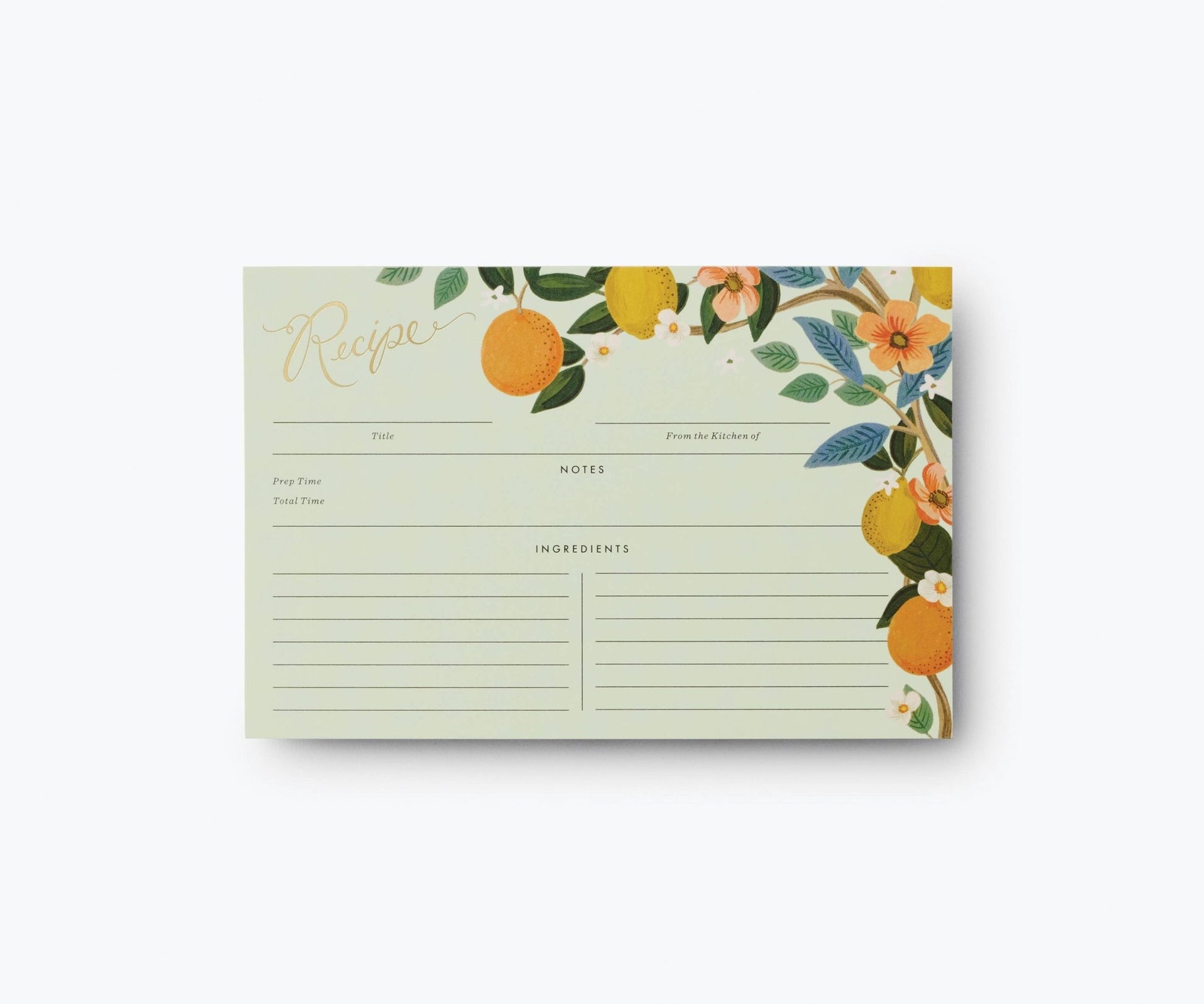 Rifle Paper Co. - Pack of 12 Citrus Grove Recipe Card - Jennie Dots